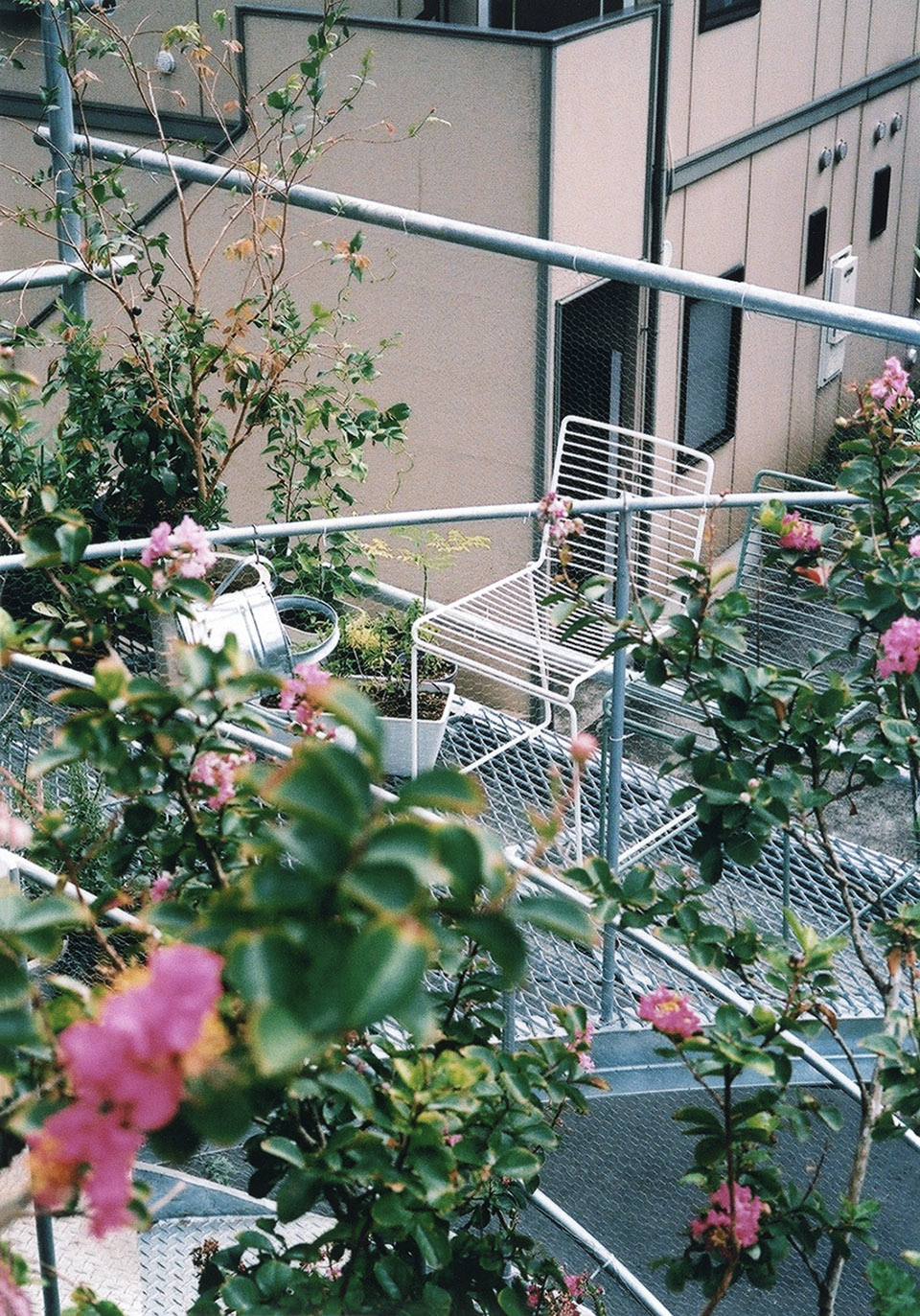 daita2019 by suzuko yamada architects