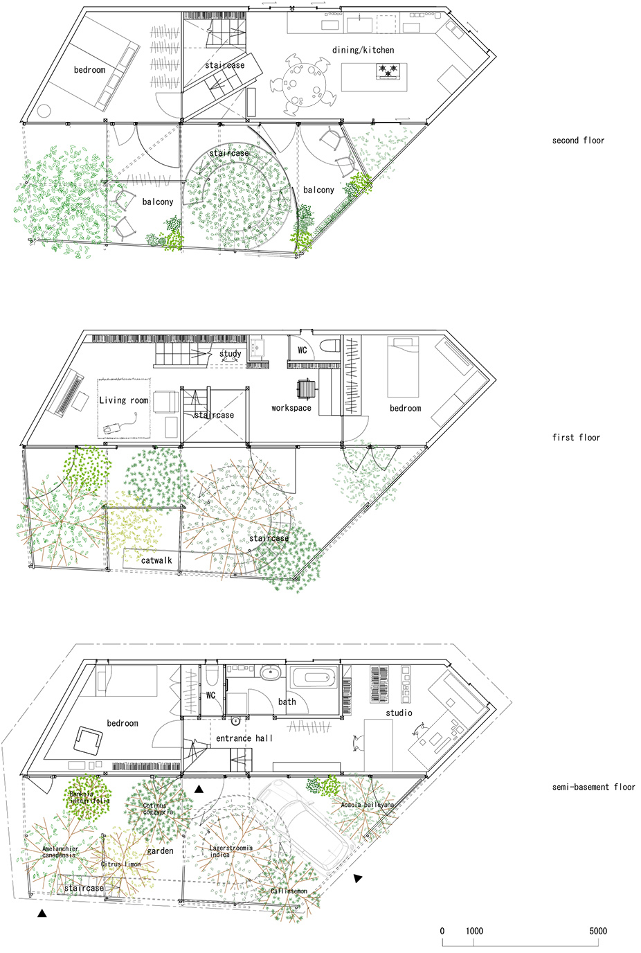 daita2019 by suzuko yamada architects