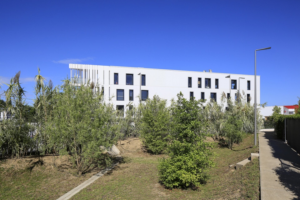 office building a a montpellier france by nbj architectes