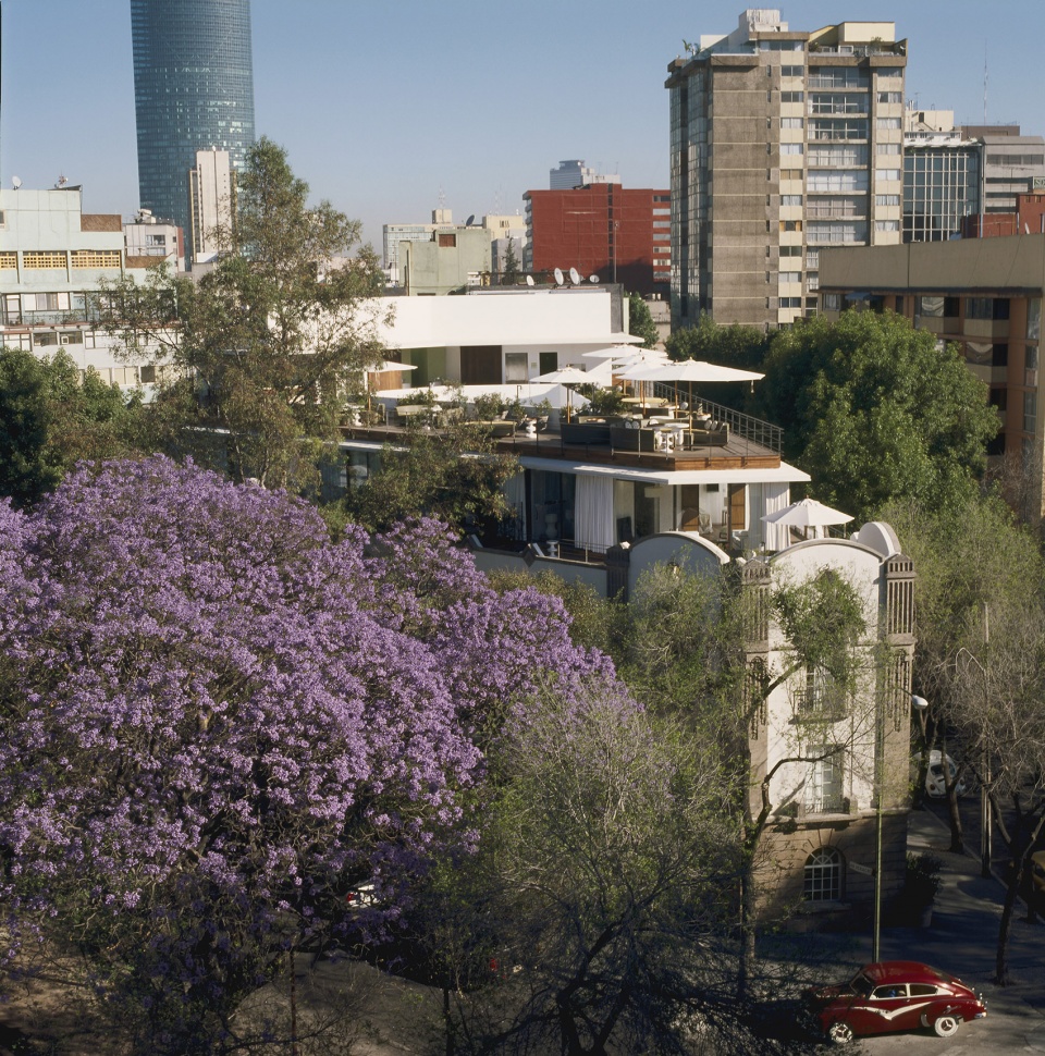 Hotel Condesa DF Javier Sánchez India Mahdavi