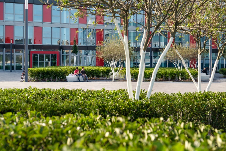 university campus open spaces poppelsdorf by sinai 1