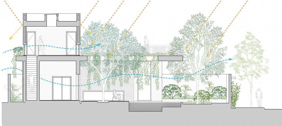 greenery curtain house by hgaa