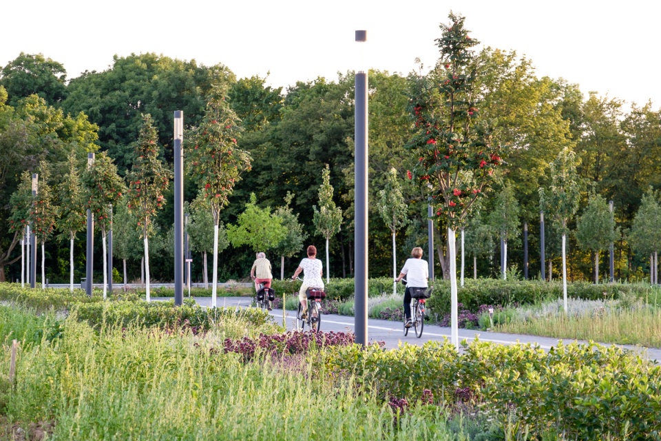 university campus open spaces poppelsdorf by sinai 1