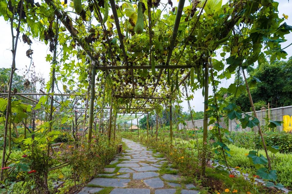 newhope real estate seed park china by bsed