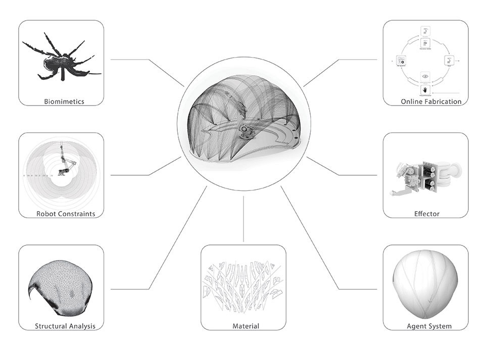 Biomimetic Architecture