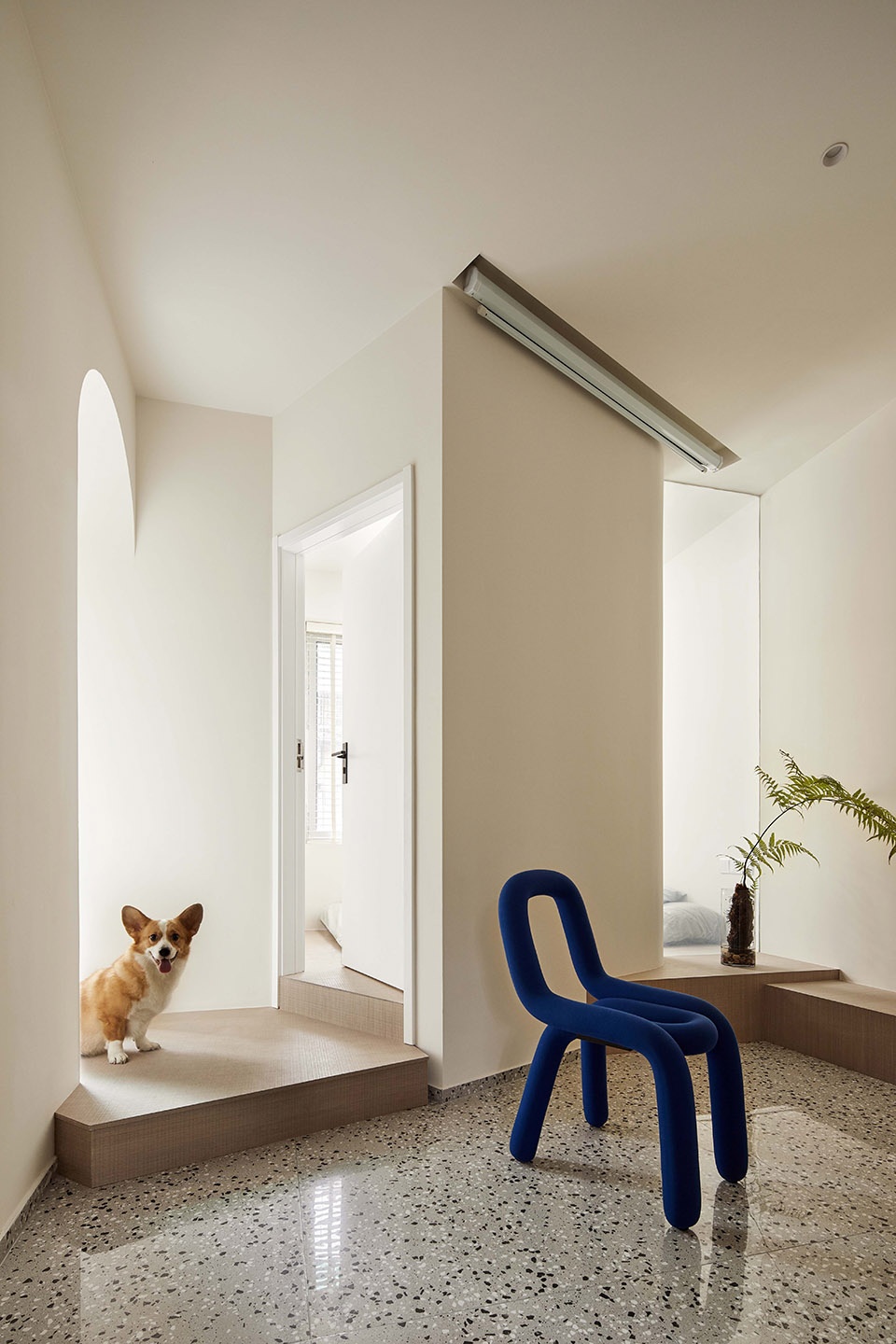 The house is colorful Shejin Space Design Office