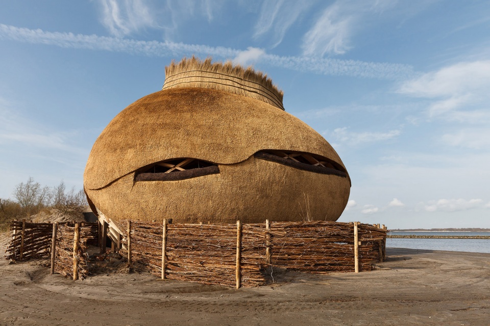Biomimetic Architecture