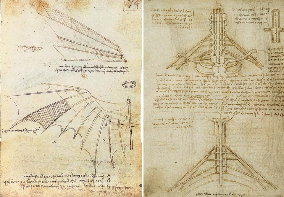 Biomimetic Architecture
