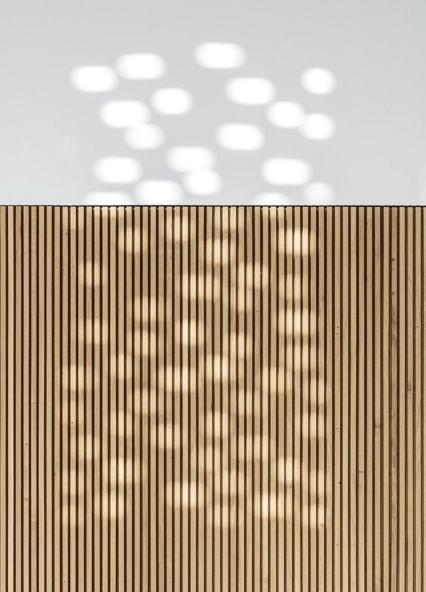Grand Palais Cinema by antonio virga architecte 1