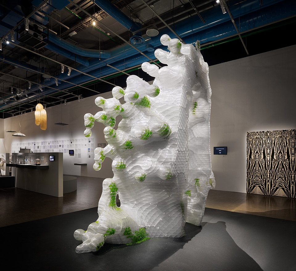 Biomimetic Architecture