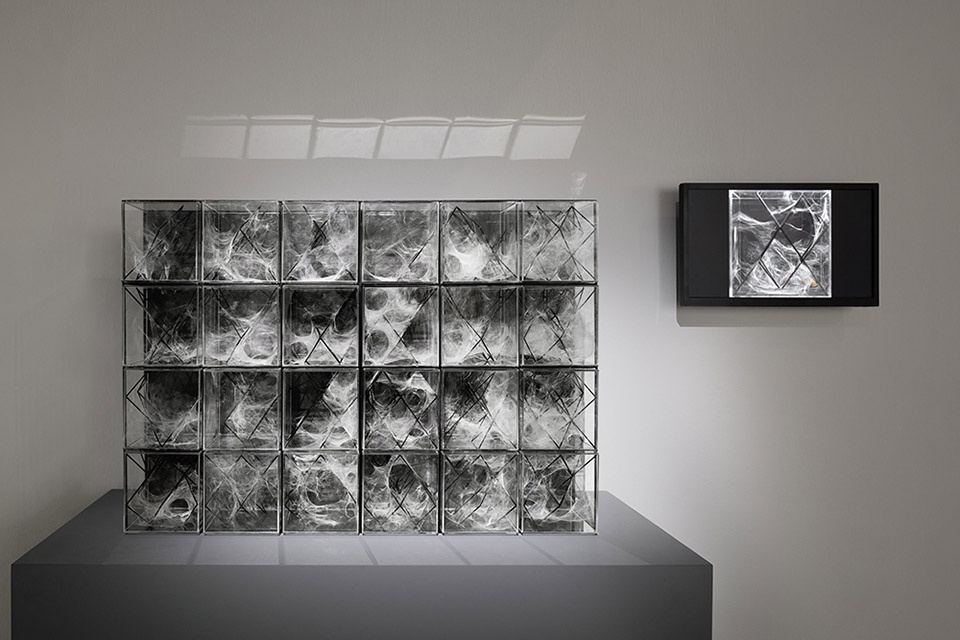 Biomimetic Architecture