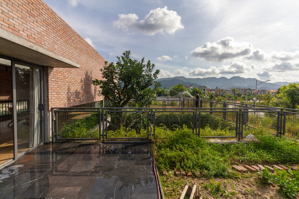 greenery curtain house by hgaa