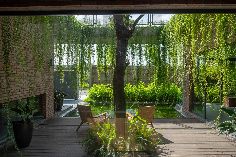 greenery curtain house by hgaa