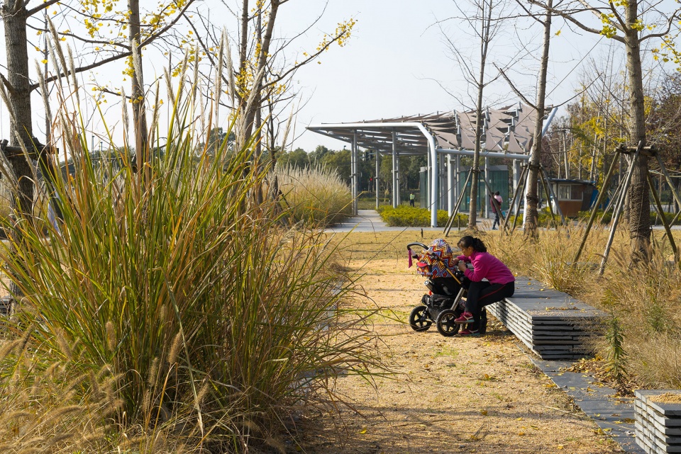 2020 urban design award of honor jiading central park by sasaki