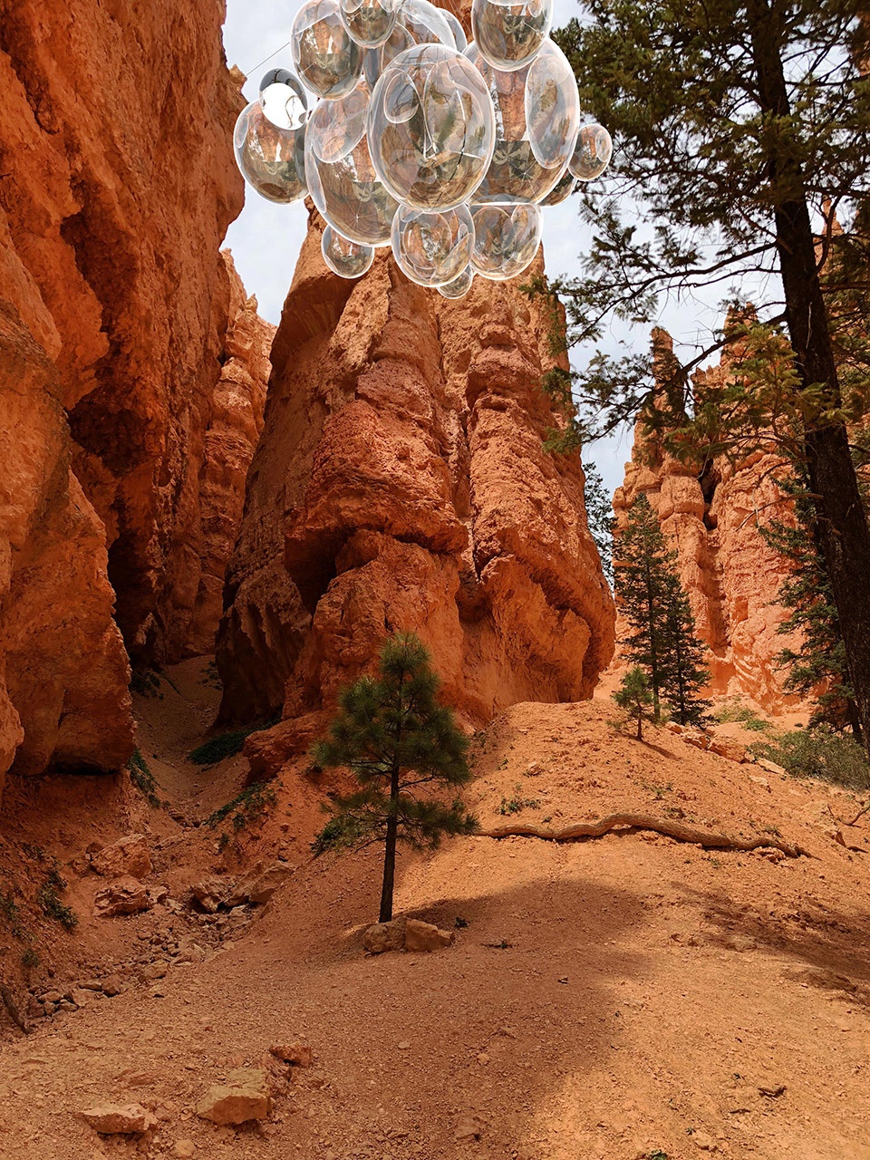 Bubbles in Canyon Vincent Leroy