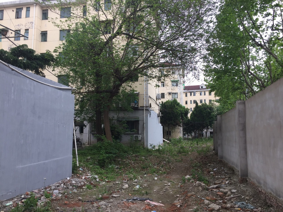 Changli Garden TM Studio
