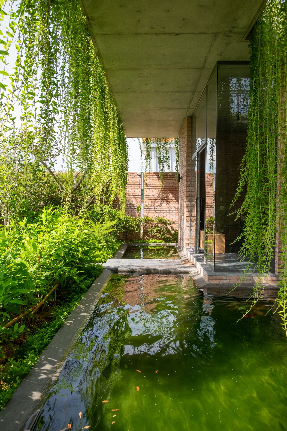 greenery curtain house by hgaa
