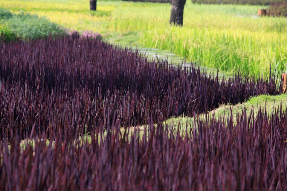 newhope real estate seed park china by bsed