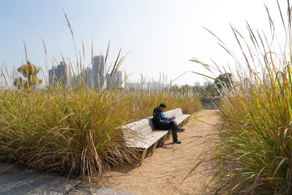 2020 urban design award of honor jiading central park by sasaki