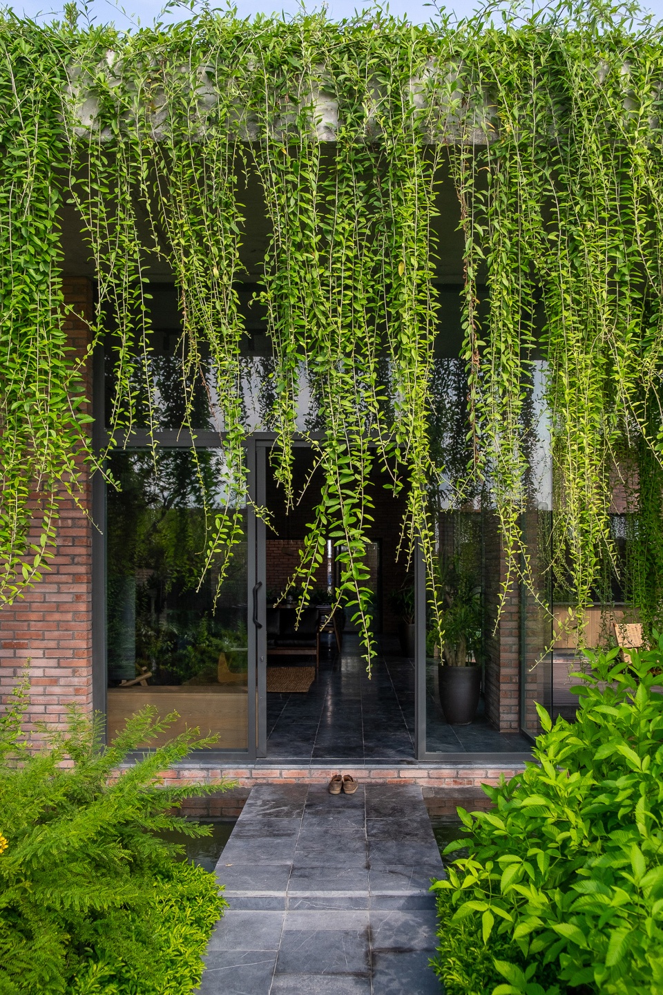 greenery curtain house by hgaa
