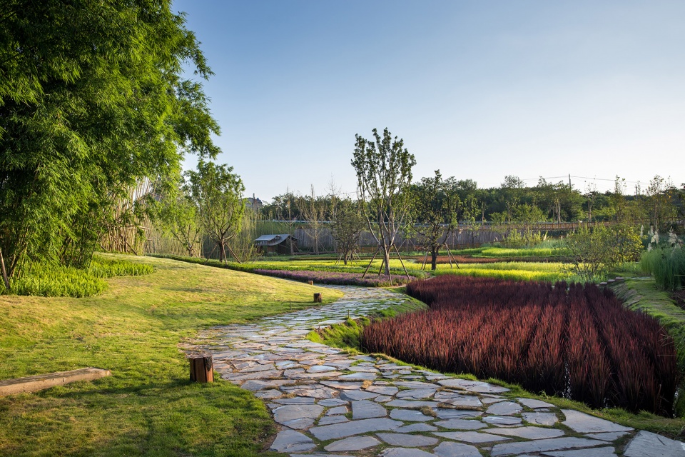 newhope real estate seed park china by bsed