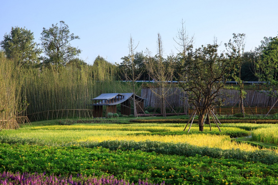 newhope real estate seed park china by bsed