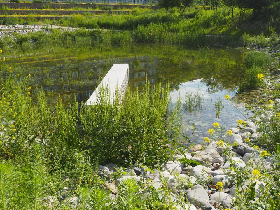 xinjiang bole peoples park transform design block a china by r land