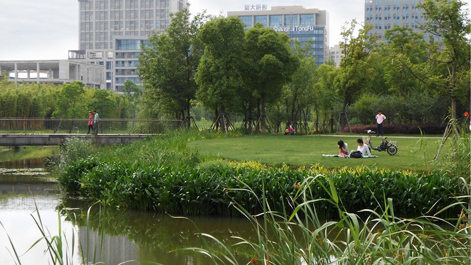 2020 urban design award of honor jiading central park by sasaki