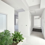 16｜The Moment公寓，伊朗 / Pi architects