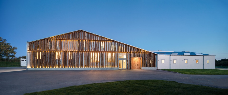 vg horse club by drozdovpartners