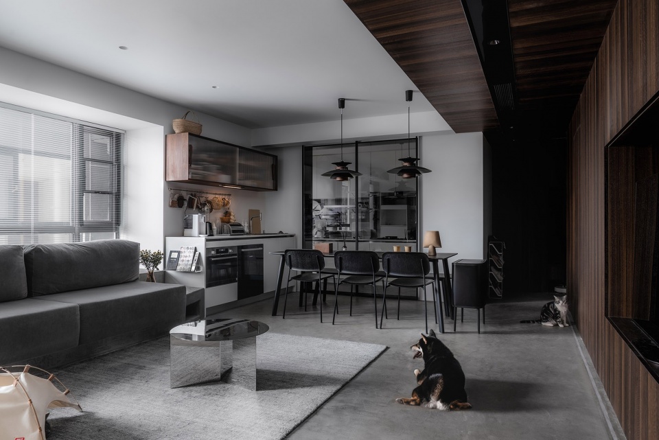 Cat and Dog Planet GE Space Design