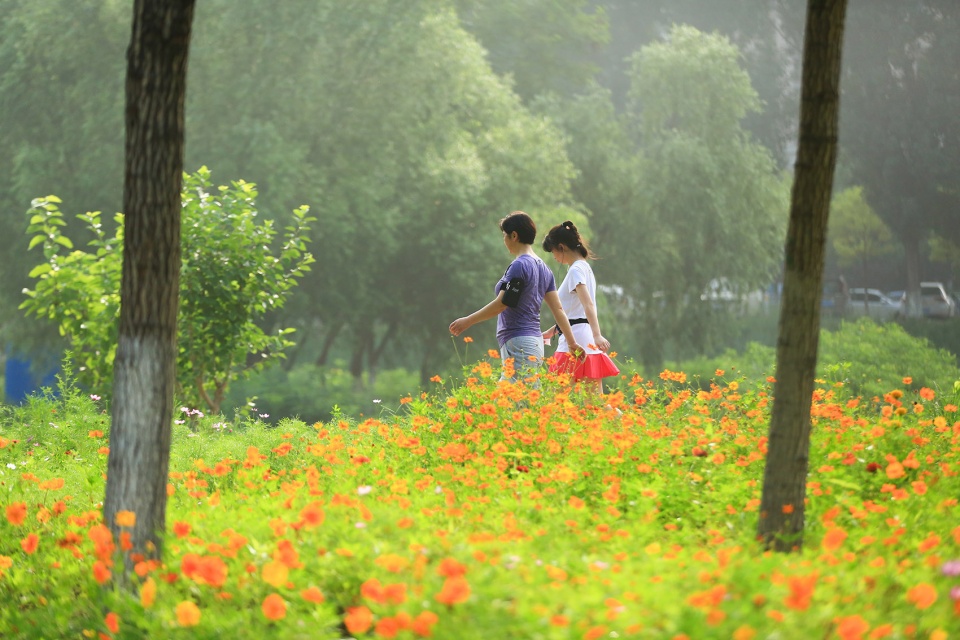 the beijing yongxing river greenway china by turenscape
