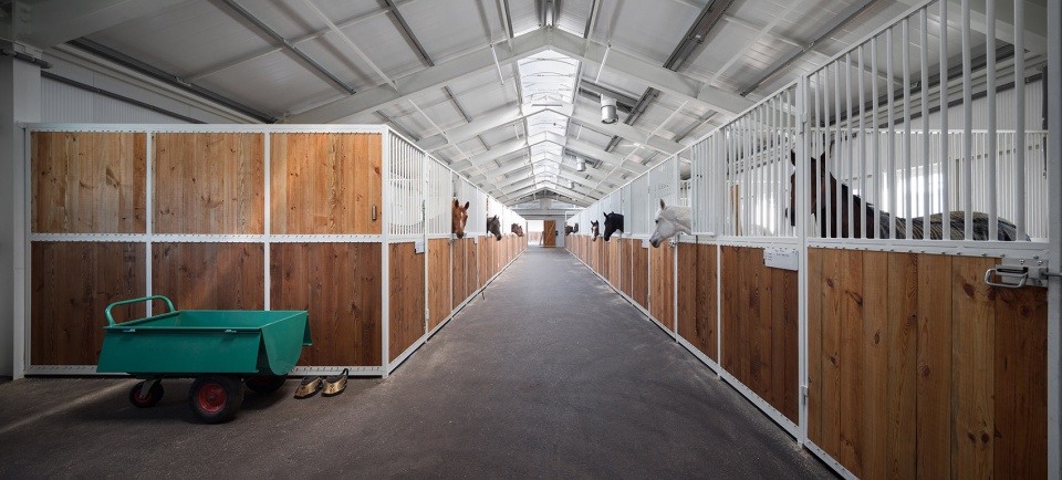 vg horse club by drozdovpartners