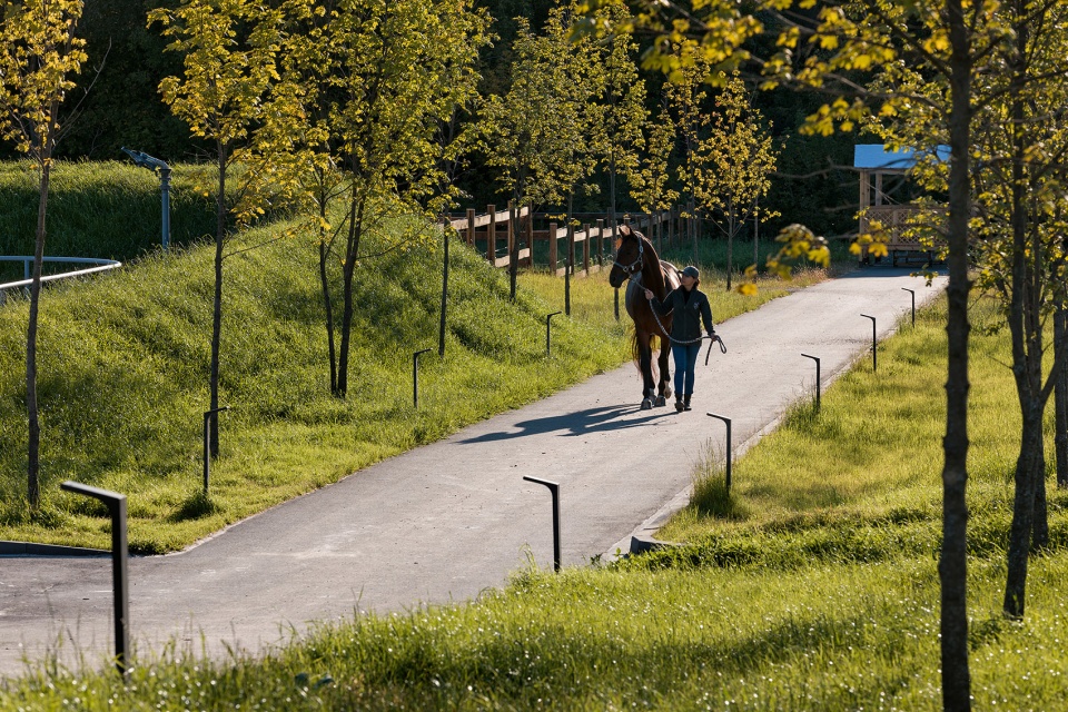 vg horse club by drozdovpartners