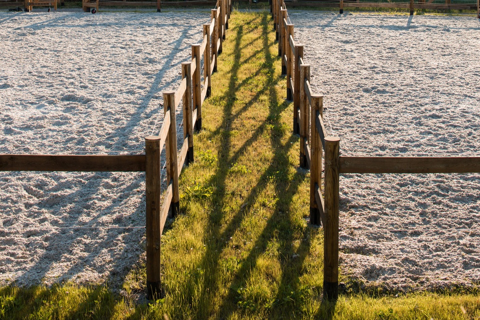 vg horse club by drozdovpartners