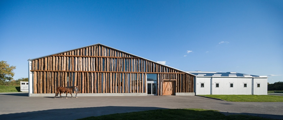 vg horse club by drozdovpartners