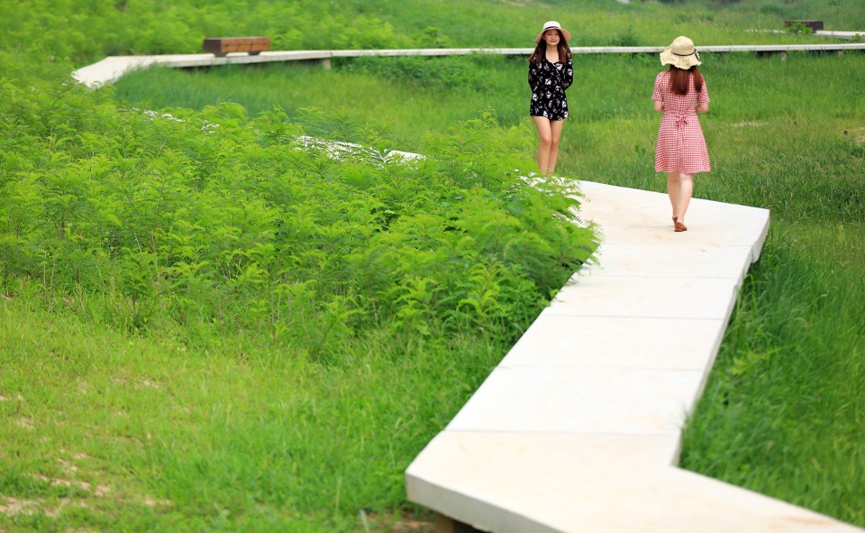 the beijing yongxing river greenway china by turenscape