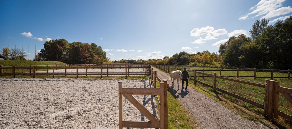 vg horse club by drozdovpartners