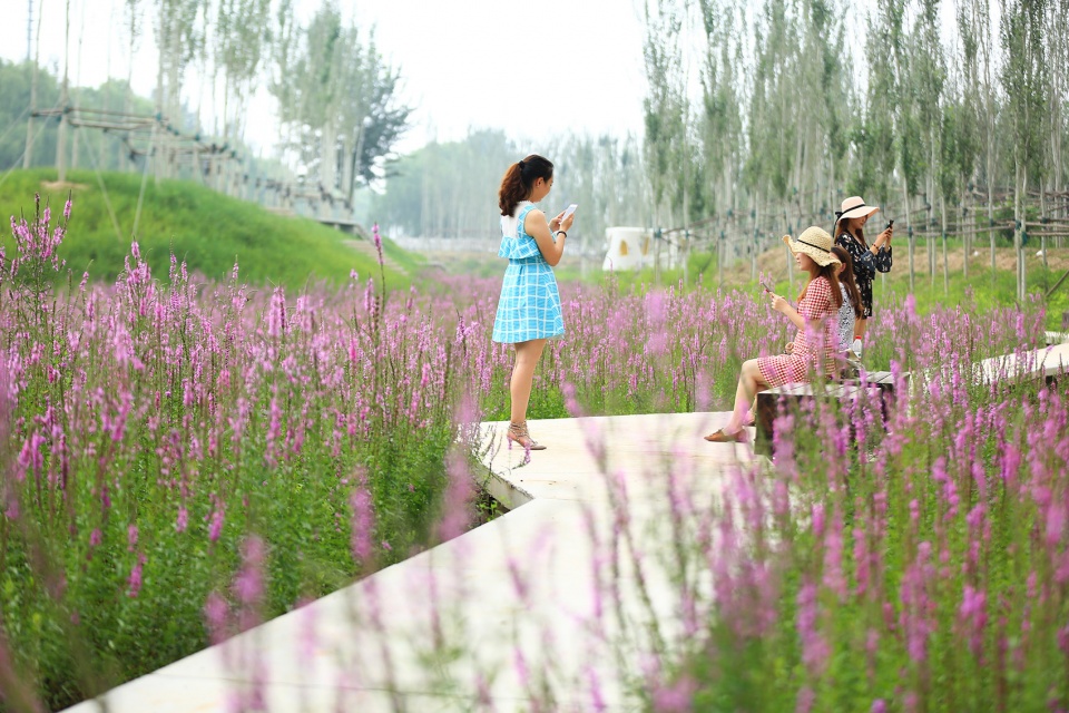 the beijing yongxing river greenway china by turenscape