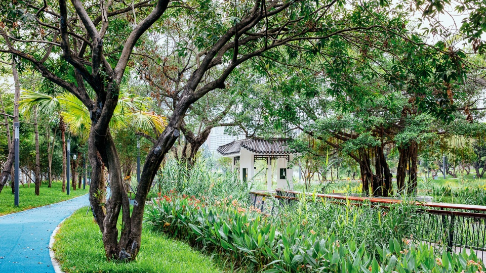SIHAI Park Landscape optimizing design China by SZLA