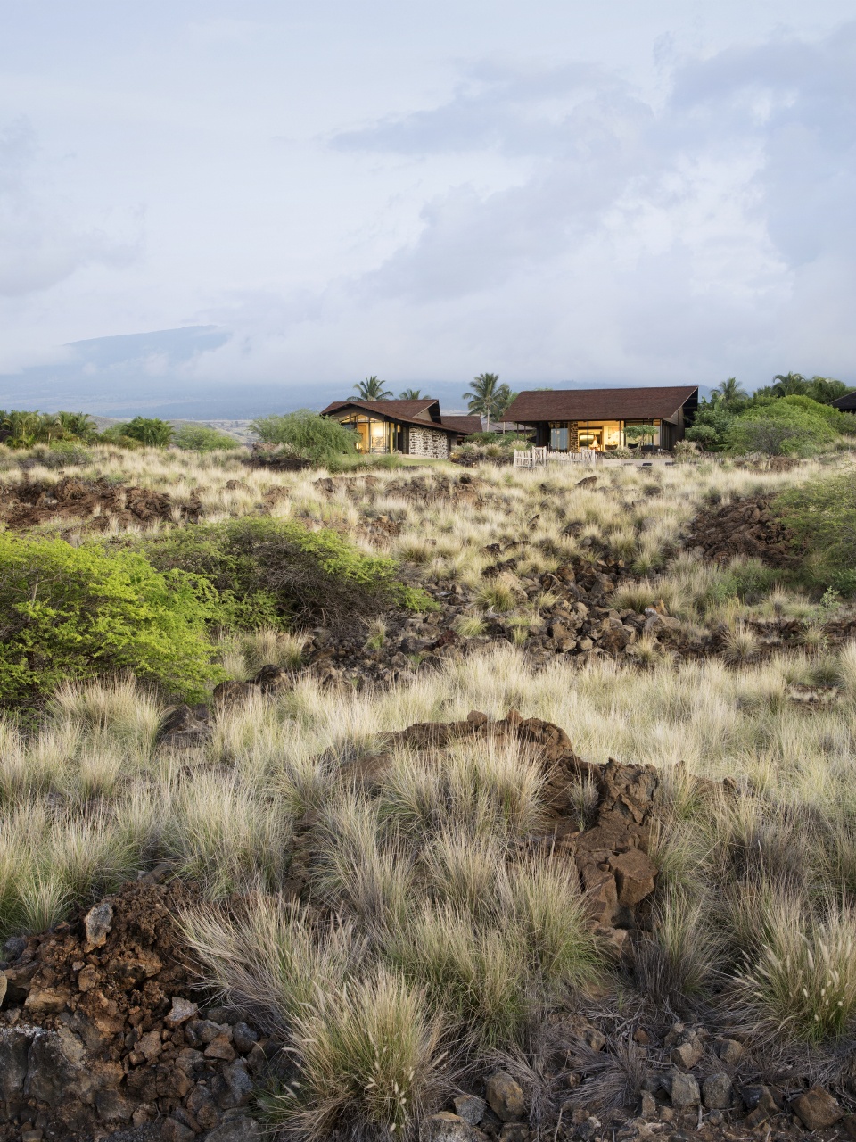 makani eka house by walker warner architects