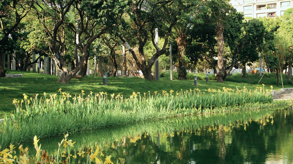 SIHAI Park Landscape optimizing design China by SZLA