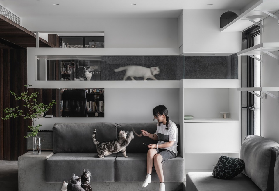 Cat and Dog Planet GE Space Design