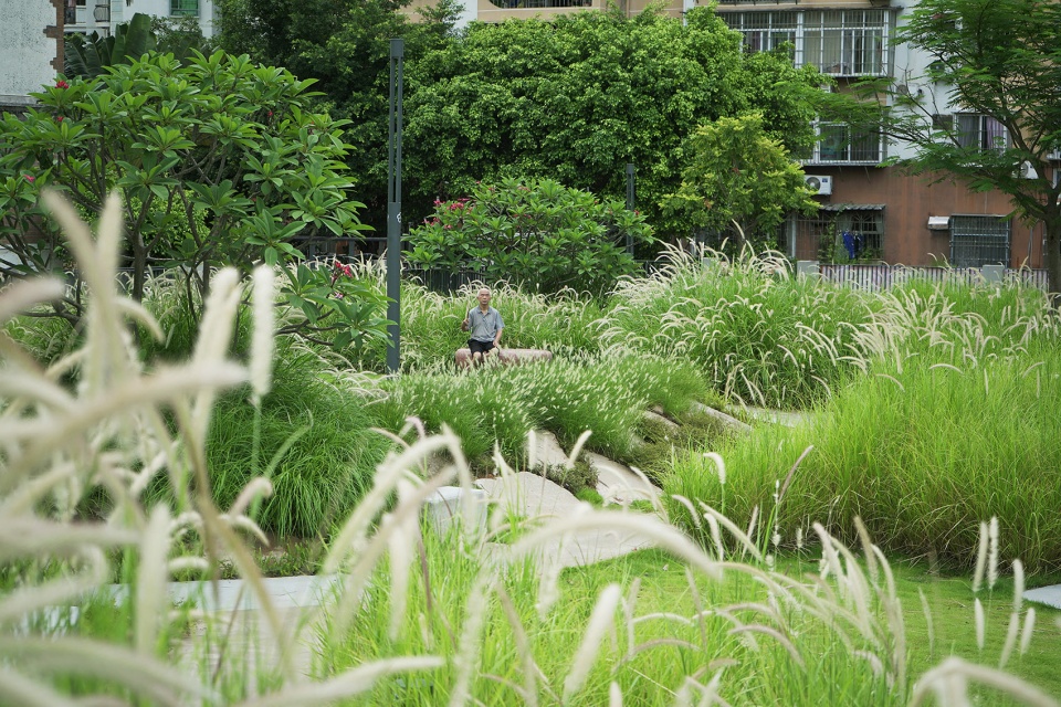Meifeng Community Park Zizu Studio