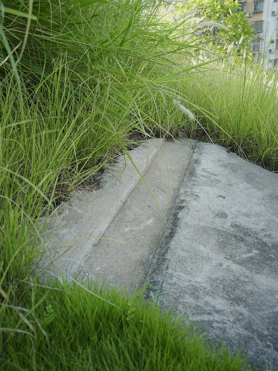 Meifeng Community Park Zizu Studio 1