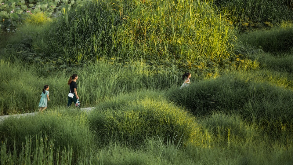 Dafosi Wetland Park Turenscape