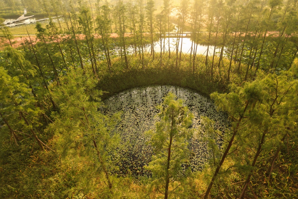 Dafosi Wetland Park Turenscape
