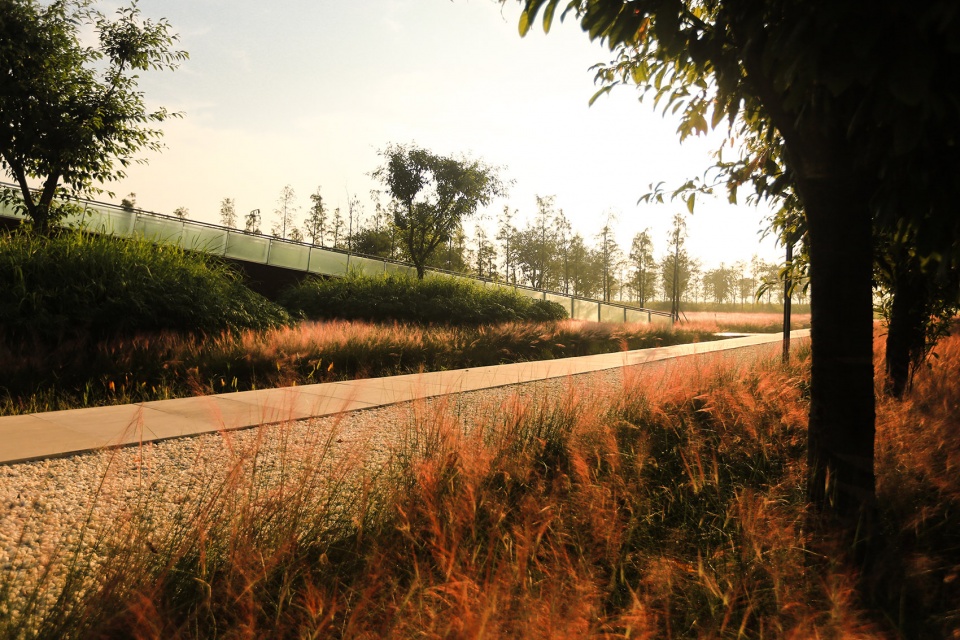 Dafosi Wetland Park Turenscape