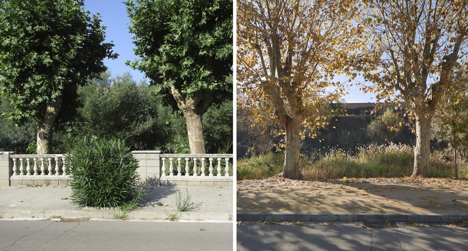 landscape regeneration of cami de cabrianes by estudi08014