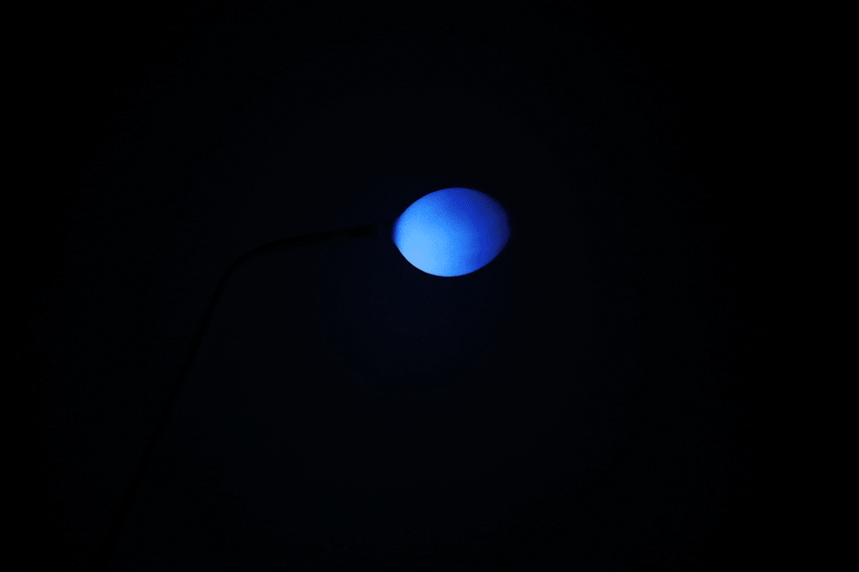 balloon lamp by chaosteria